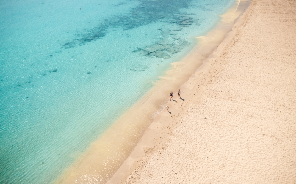 dji_20240413174922_0057_d-1.jpg