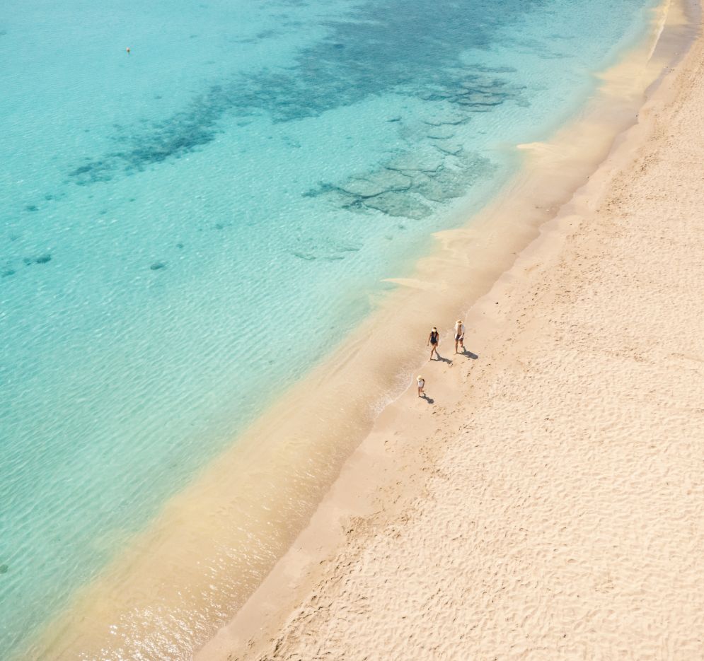 dji_20240413174922_0057_d-3.jpg