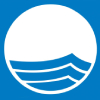 blue-flag_logo.jpg